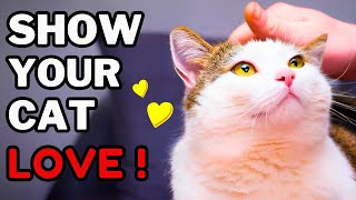 How To Say I Love You In Cat Language