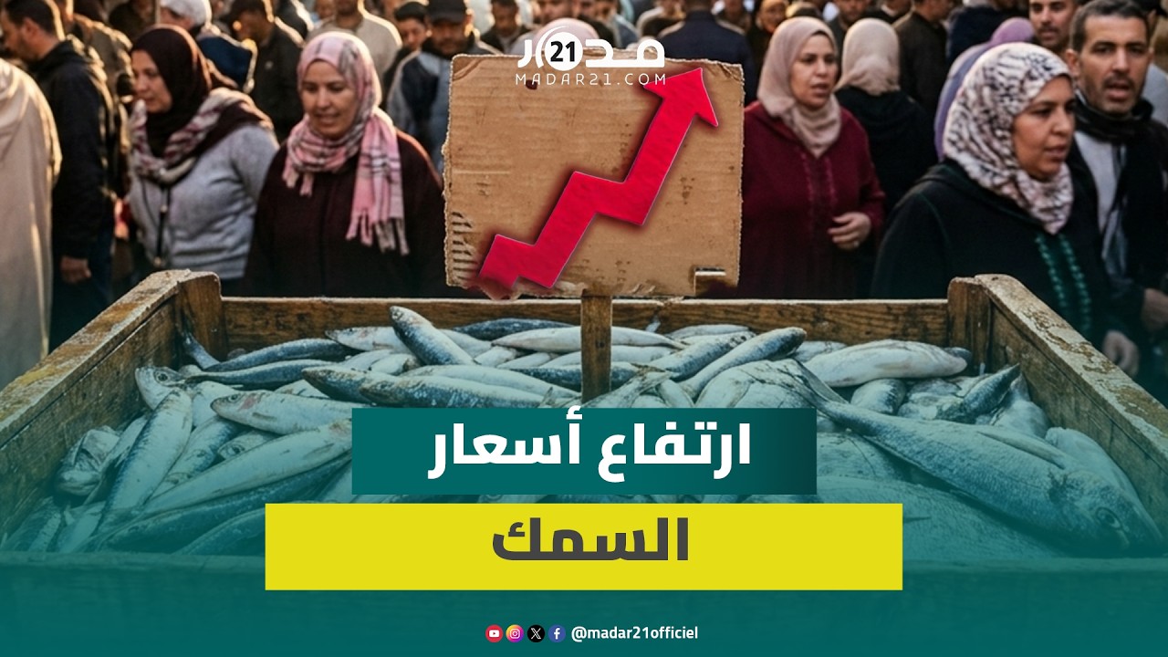 أثمنة السمك ترتفع: إقبال كبير وارتفاع مفاجئ في الأسعار