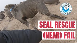 Seal Rescue (Near Fail)