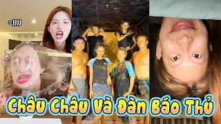 CHÂU CHÂU HỘI TỤ CÙNG NHỮNG CON DÂN BÁO ĐỜI 😂😂