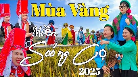 [REUP] Hội Mùa Vàng Miền Soóng Cọ 2025 | Sóong Cọ Đợi Anh | THÁI VITV
