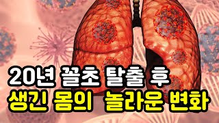 금연 100% 성공하는 방법 비법 22년 피던 담배를 드디어 떠나 보냈습니다