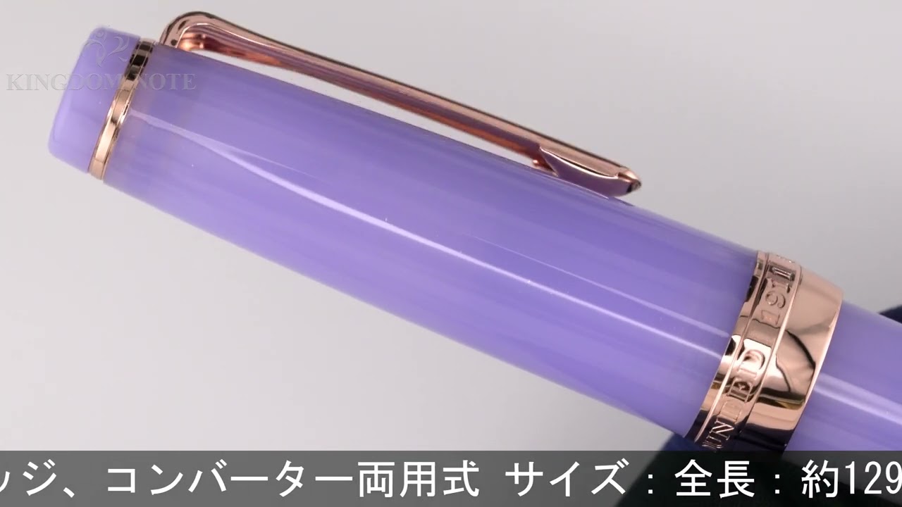 セーラー 銀山 M 八文字屋 銀山スノーグレー 万年筆 極細字 EF