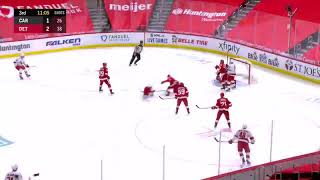 Andrey Svechnikov. 2 goal season NHL 2021. Carolina Hurricanes vs Detroit Red Wings 16.01.2021