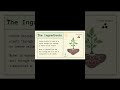 💡 The Secret Behind Photosynthesis 🌱 #Shorts #biology #photosynthesisinhigherplants #plants