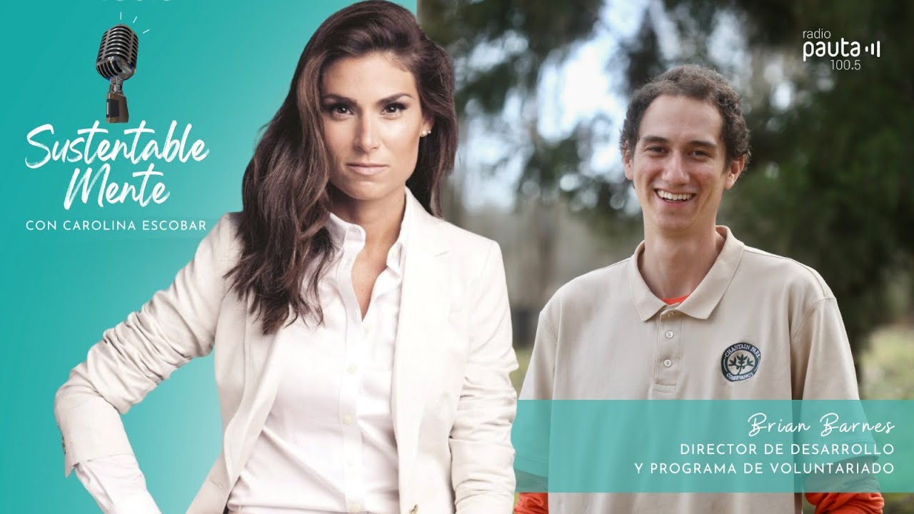 Brian Barnes y los panales urbanos