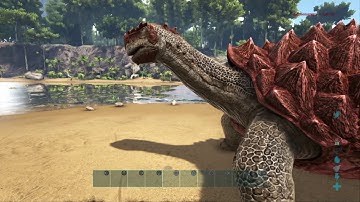 How To Use Admin Commands On Ark!!! | Ark: Survival Evolved