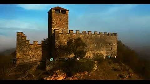 51796449 370903960366268 1437884870935183360 n