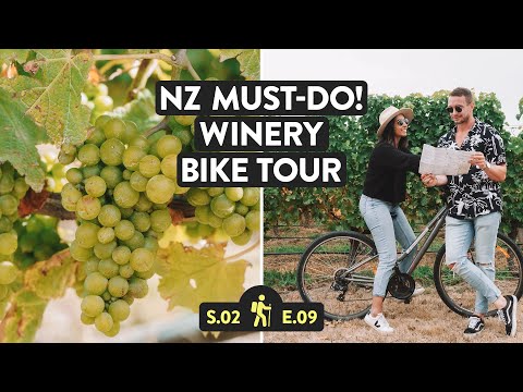 We Took A Vineyard Bike Tour! | Blenheim, Marlborough Wine | Reveal New Zealand S2 E9