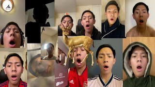 Antelope | Cole Lam 15 Years Old