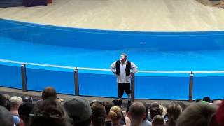 SeaWorld Mime