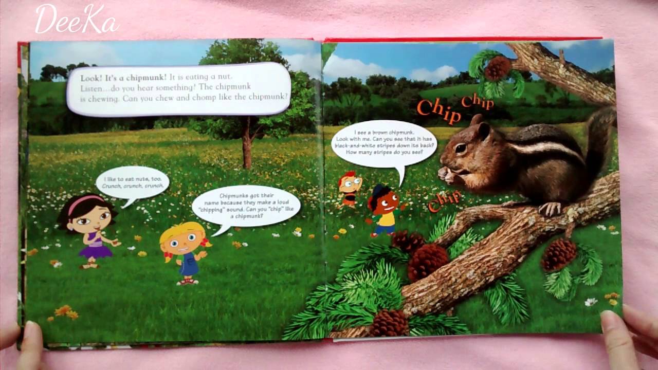 Disney's Little Einsteins: Music of the Meadow (read along)