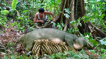 -In a rare moment, Trieu Khang unexpectedly witnessed a mother wild boar giving birth in the forest.
