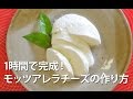 1時間で完了！モッツァレラチーズの作り方