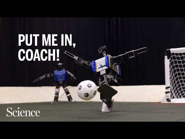 Soccer-playing robots teach themselves to score
