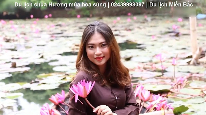 Hoa súng chùa hương nên đi vào thời gian nào