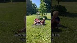 My dream life 🙏🏻 #unschooling #sahm #homeschooling #holisticliving #consciousliving