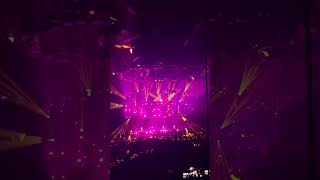 Celebrity Phish MSG #PhishShorts #shorts #music #live #song #phish #fun #summer #nyc #concert Wealth