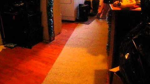 TRAXXAS 1/16 SLASH  BASH