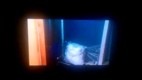 Storage wars is fake