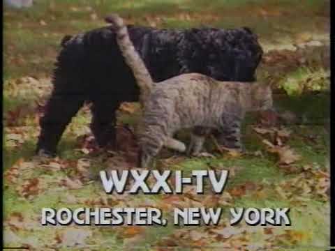 WXXI-TV ID, 1987