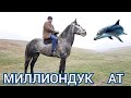 Мына АТ 15000 доллар 😱 тапталган ТААМАЙ АТ БАШ-БУЛАКТА👍