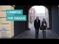 Campus the hague