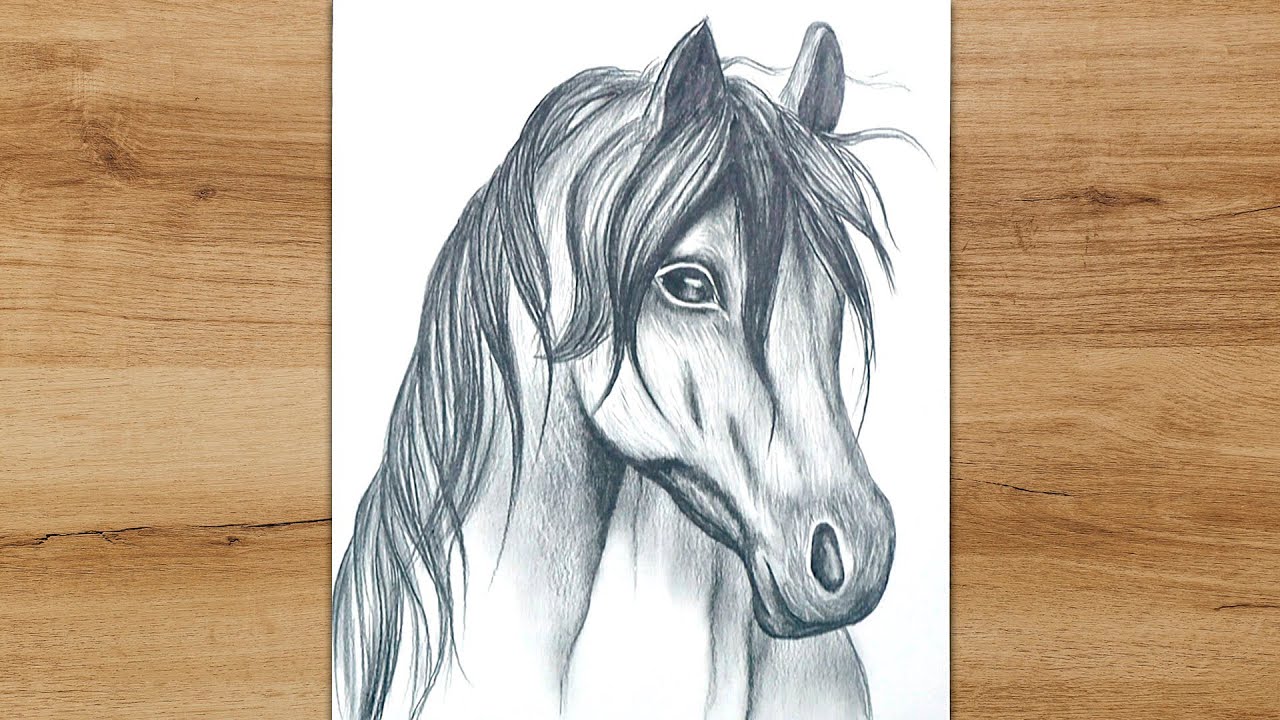 Horse face ink sketch drawing Shower Curtain by Daliana Pacuraru - Fine Art  America
