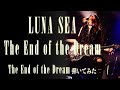 【LUNA SEA】The End of the Dream/SUGIZOパート【弾いてみた】
