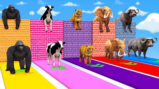 Choose Right Wall With Cow, Gorilla, Zombie t-Rex, Elephant, Tiger, Lion, Wild Animals Matching Game