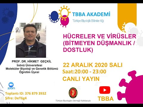 Prof. Dr. Hikmet Geçkil \