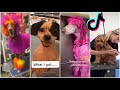 Dog grooming tiktok compilation 🐶🐶