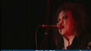 The Cure - Fire In Cairo (Live 2009)