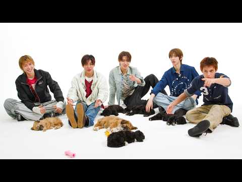 CORTIS The Puppy Interview
