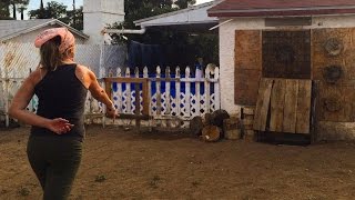 The Flying Steel Talisman - Learning A New Knife.