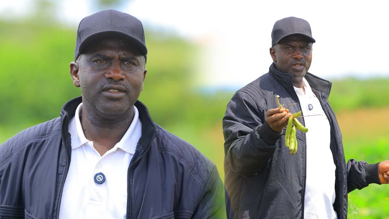 Urashaka kongera umukamo? Kurikira ikiganiro