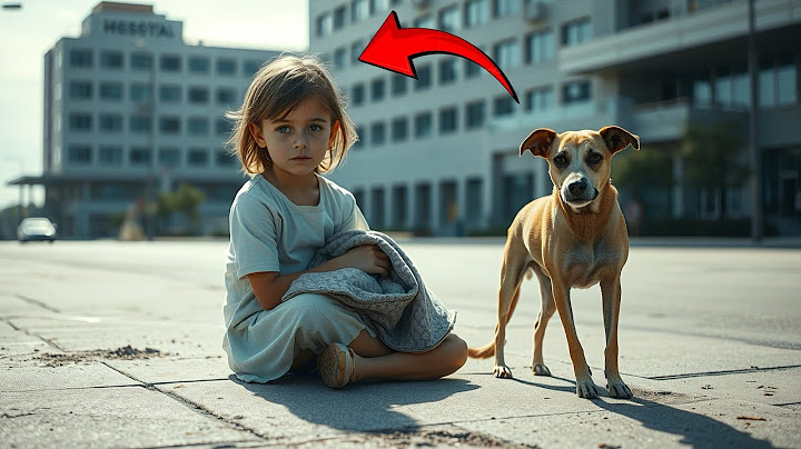 Hospital Rejected Her – But the Street Dog Became Her Only Hope.. | Enter The Stories