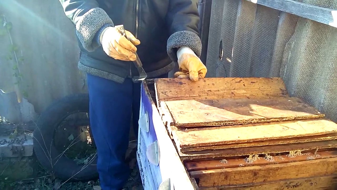 Улиц пчел Улиц пчел