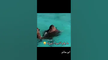 مختارات ابو حاتم اكسبلور القزابري دويتو الثامن تيك توك الرحمن ترند الطحان ضحك العظماء 
