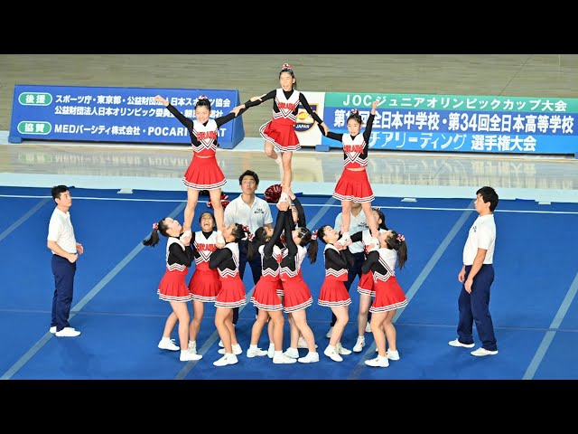 非売品★入賞 記念品★ディズニー世界大会 高校生 チアリーディング 選手権大会 非売品☆入賞 記念品☆ディズニー世界大会 高校生 チア