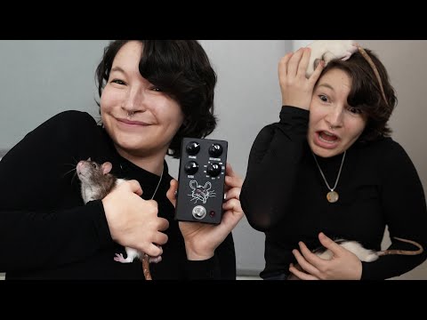 Video 4