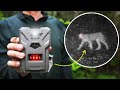 3 Months of Trail Camera Footage in a Canadian Forest