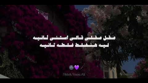 اغنية كلوا قالي اشمعنا هو رد قلبي وقالي هو || بدون موسيقى || اغنية عمرو جابر الجديدة 