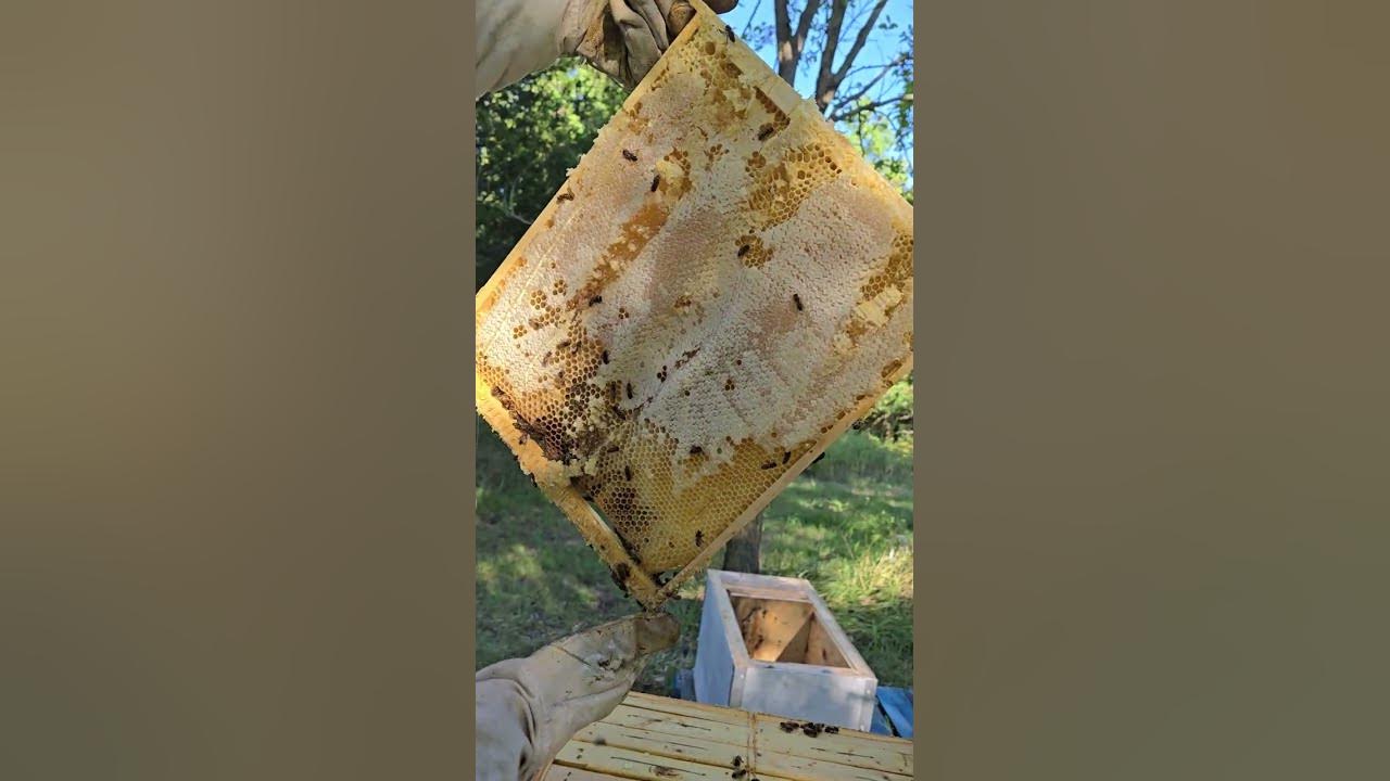 How it is to. How it's made discovery. How it's made discovery. You good. How it is to.