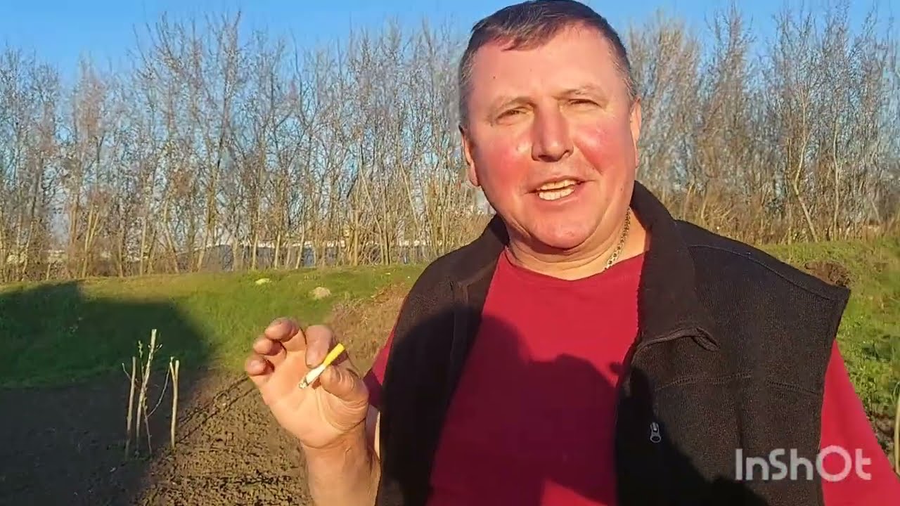 Як ми зустрілися з друзями ,  посадили саджанці ,  обрізка молодняка та що за напасть - цикадки .