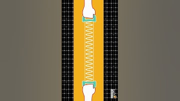 How a falling Slinky Defy Gravity?