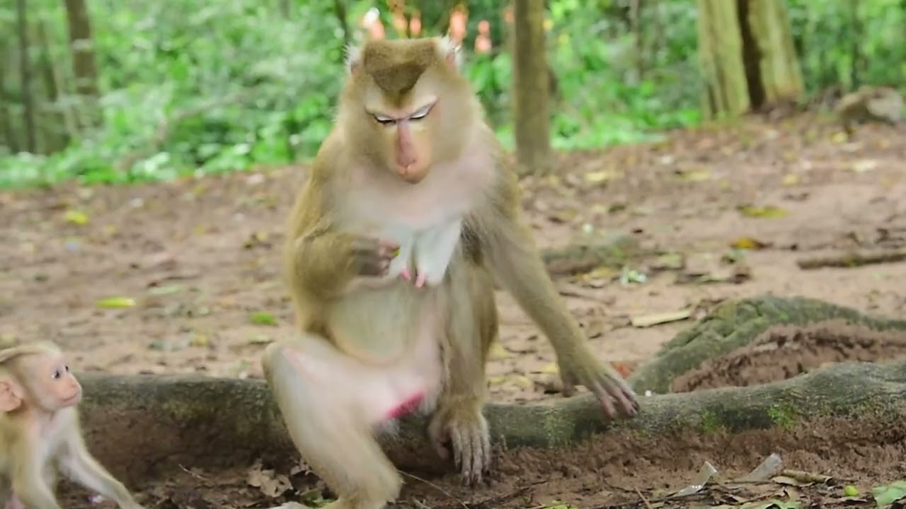 Her Baby Boy Just NEVER STOPS PLAYING