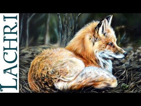 Time lapse Fox
