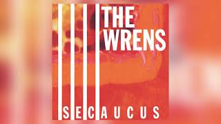 Destruction Drawn by The Wrens from Secaucus