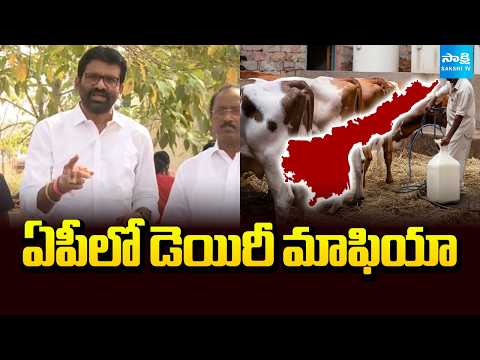 ఏపీలో డెయిరీ మాఫియా: Dairy Mafia In AP | YSRCP MLC Parvathareddy Chandra Sekhar Reddy | @SakshiTV - SAKSHITV